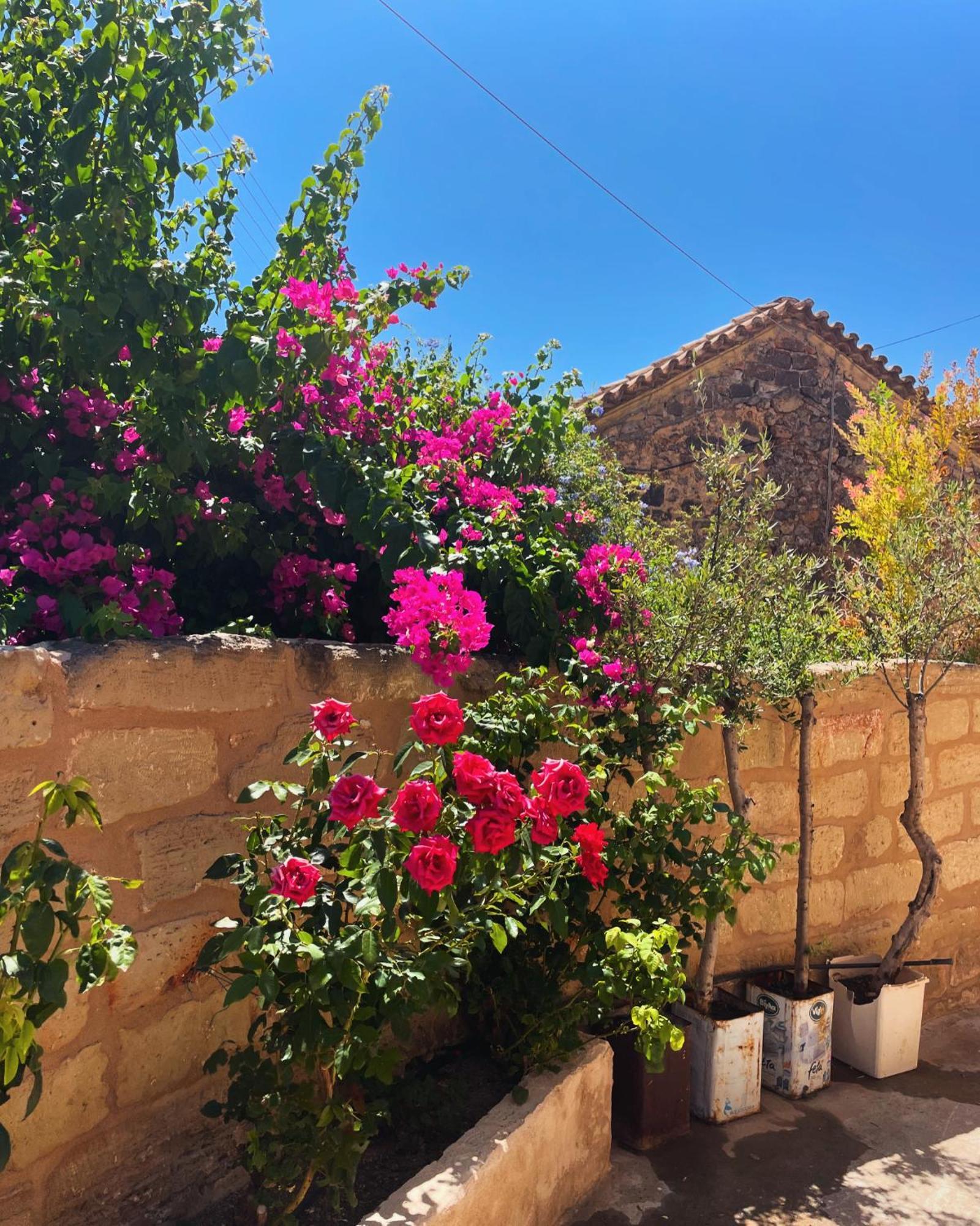 Pyrgos Fassea Kardamyli Villa Buitenkant foto